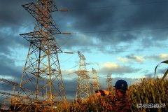 佳木斯供电公司：开展红外测温 确保线路安全