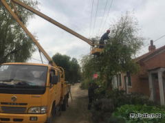 卫星供电开展树障清理确保迎峰度冬