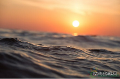 25家！光伏电站投资企业哪家强？