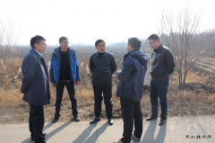 兴凯湖电业局：陈殿军局长与农垦牡丹江管理局领导深入农场现场办