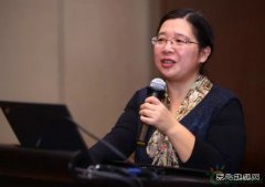 2017完美体育年会 | 争议风电行业面临的三个关键问题