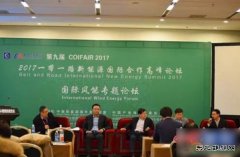 海上风电进入发展机遇期 海外收购助力中企弯道超车