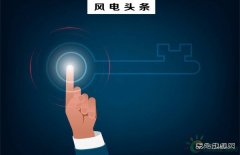绿证交易、不限电等多种行政手段鼓励风电平价上网，只为零补贴时