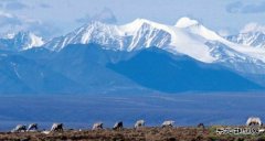 美国税改落地，完美体育业界皆大欢喜：风电光伏抵税优惠维持