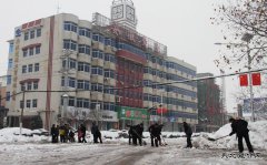 楚源公司机关党员活动日义务除冰雪