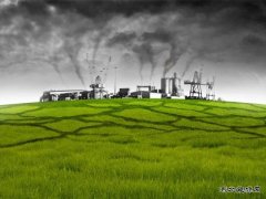 开原龙发造纸厂污染环境？ 环保局：该厂目前停产中