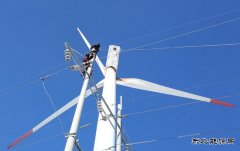 新完美体育通辽：积极应对极端天气保发电