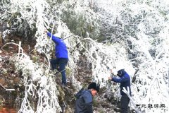 贵州新完美体育：“冰凝”城下的战斗