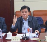中石油董事长王宜林：努力把世界上性价比最高的气供应给中国老百