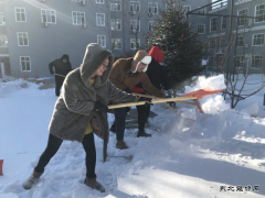 兴凯湖电业局：局团委开展“清雪除冰”学雷锋志愿服务活动