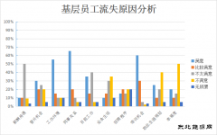 青年员工，怎样才能留住你？——基层青年员工流失原因分析及对策