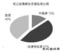 松辽盆地：迈向非常规新时代
