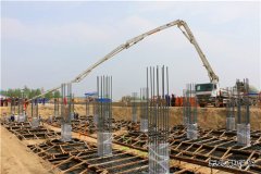 吉林长山：国内首家生物质发电技术改造示范项目开工