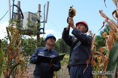 凯供城区分局：高温袭来 采取服务“加减法”应对“夏烤”