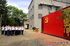 佳木斯供电公司开展“做好先行官、架起连心桥”主题党日活动