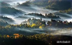  雨林霞光（摄影作品）