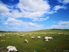 乌拉盖草原（摄影作品）