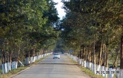 绿染公路（组照）