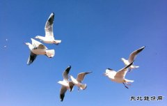 一路欢歌向天阙（摄影作品）