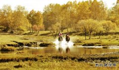 策马奔腾（摄影作品）