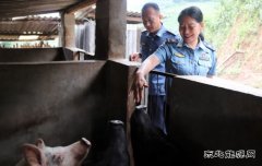 云南西双版纳路政支队纪委开展扶贫资金专项检查