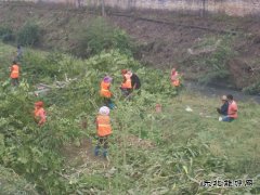 盘州市翰林街道办小关居委会治理1000米河道工作