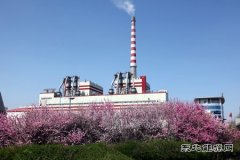 鸡西热电公司：回眸征程 逐梦百年