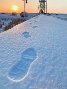 足/xiezuozazhi/2025/0118/＃ㄉ阌白髌罚