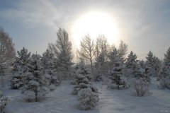 雪树银装（摄影作品）