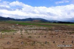 华东建投安徽电建一公司承建越南PhuYen光伏电站获点赞