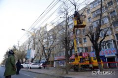 佳木斯供电公司：处理树患 百日攻坚