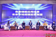 关于2019年中国储能市场走势，听听专家怎么说？