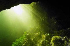 觅光(摄影作品)