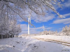 雪韵(摄影作品)