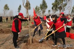 太康县供电公司：志愿服务播新绿