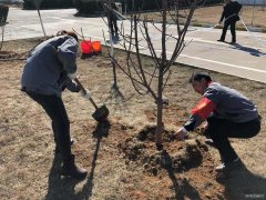 潞安焦化：开展植树节主题活动