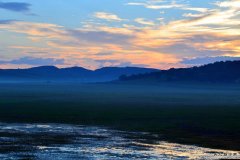 绿海微波（摄影作品）