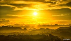 金色梦幻（摄影作品）