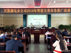 兴凯湖电业公司举办2019年智能交费业务推广培训