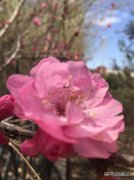 花/xiezuozazhi/2022/0309/＃ㄉ阌氨ǖ溃