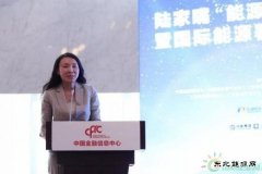 金淑萍：集众智合众力 中国海油创新助力天然气产业健康发展