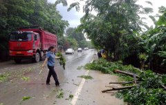 云南西双版纳路政干部巡查途中清除倒伏树木