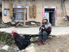 童趣（摄影作品）