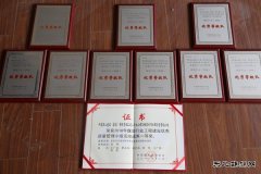 中煤三建二十九处喜获煤炭建设行业多项荣誉