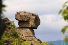 顽石（摄影作品）