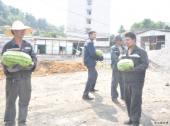 高山煤矿工会：夏季送清凉 再来一波