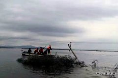 通河供电公司：抗洪抢险保供电 风雨无阻电力人