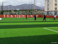 河南完美体育榆树泉煤矿喜迎人造草坪足球场和塑胶蓝球场建成