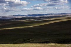 草原美景（组照）