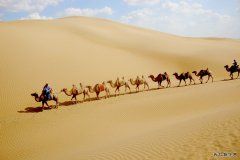 沙漠 &#8226; 绿洲（摄影组照）